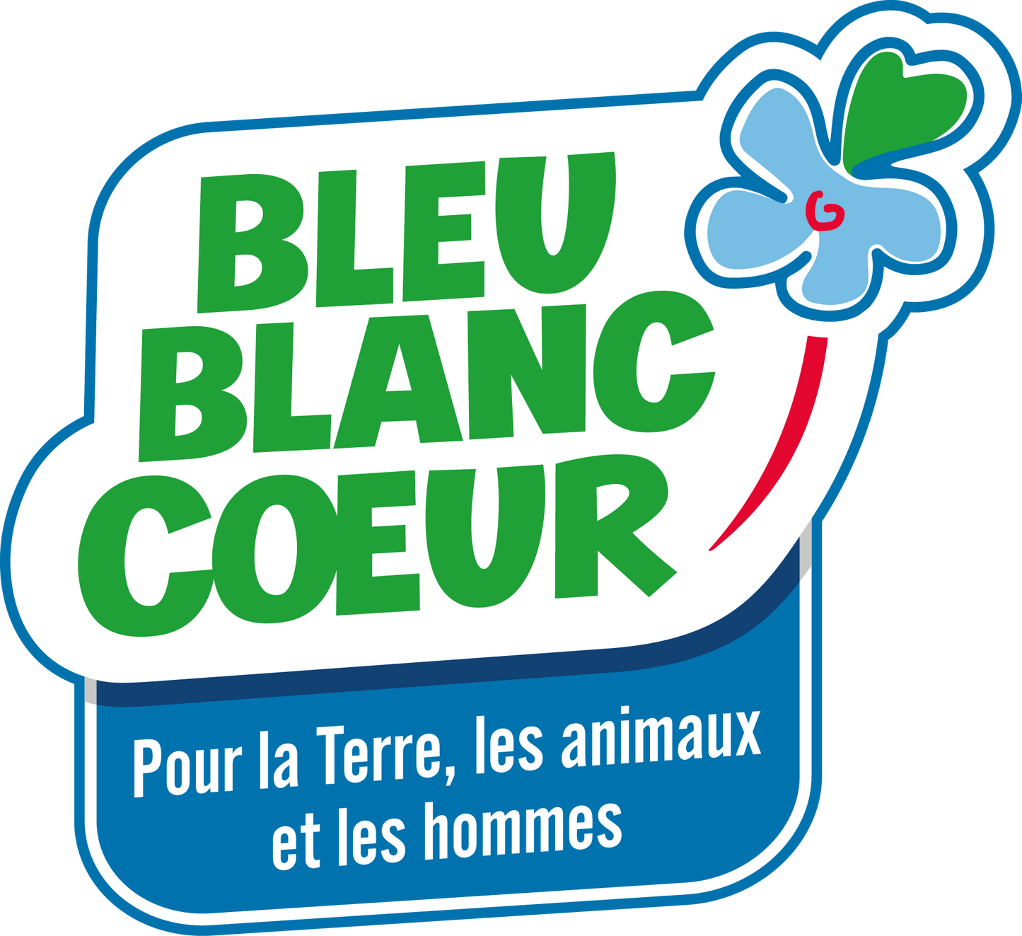 Altmodische Bleu-Blanc-Coeur-Trockenwurst