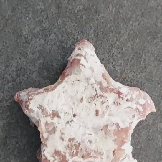 vidéo minissons noel